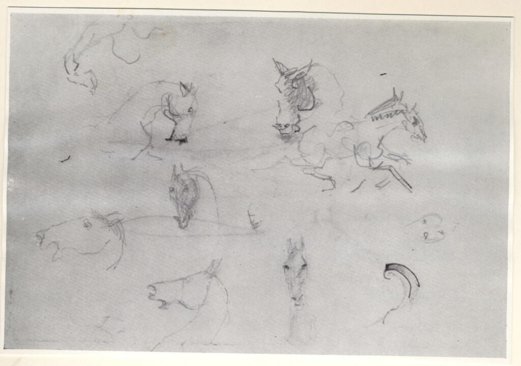 Anonimo , Toulouse-Lautrec, Henri de - sec. XIX - Studi di teste di cavallo , fronte