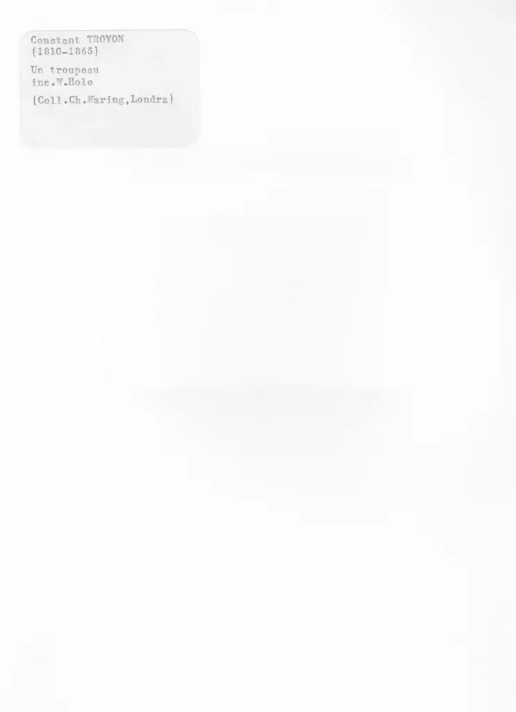 Anonimo , Troyon, Constant - sec. XIX - Un troupeau , retro