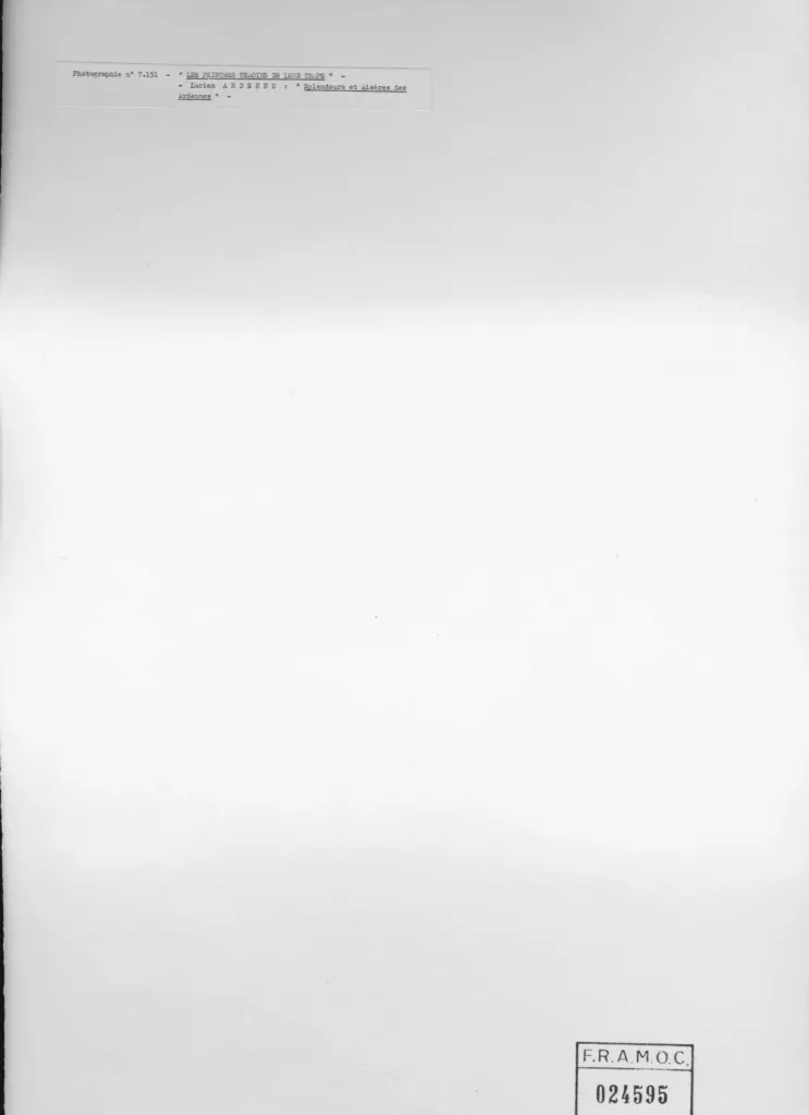 Anonimo , Ardenne, Lucien - sec. XX - Splendeurs e mis&egrave;res des Ardennes , retro