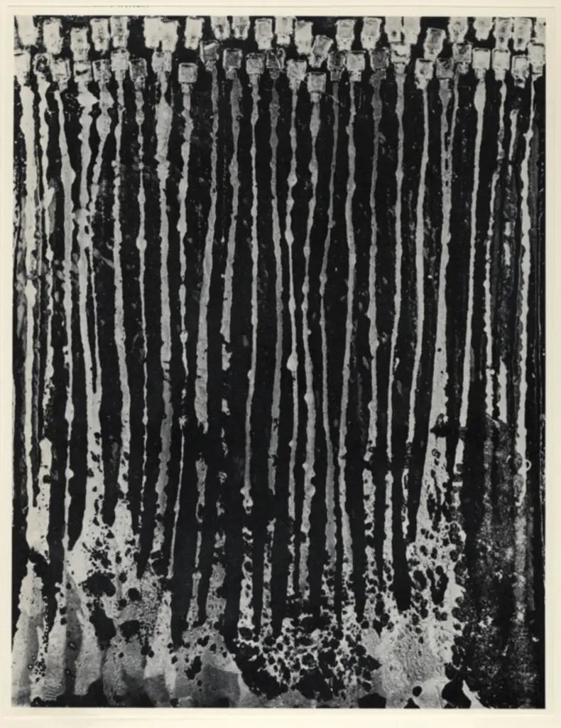 Anonimo , Fernandez, Armand - sec. XX - Somptueux , fronte