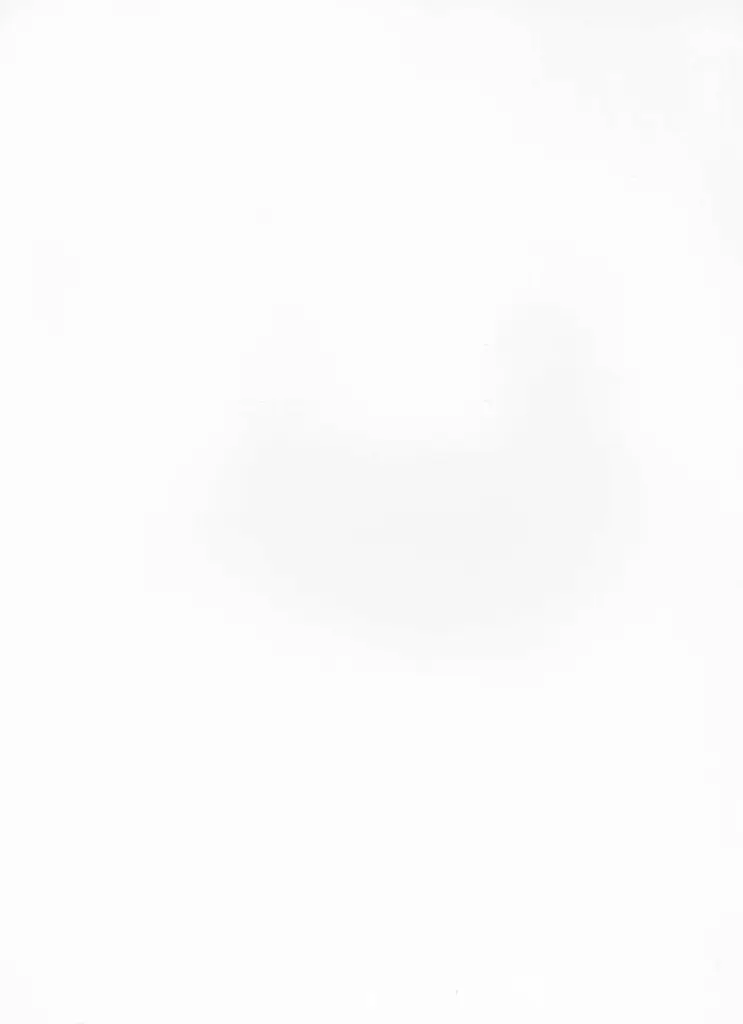 Fernandez, Armand , retro