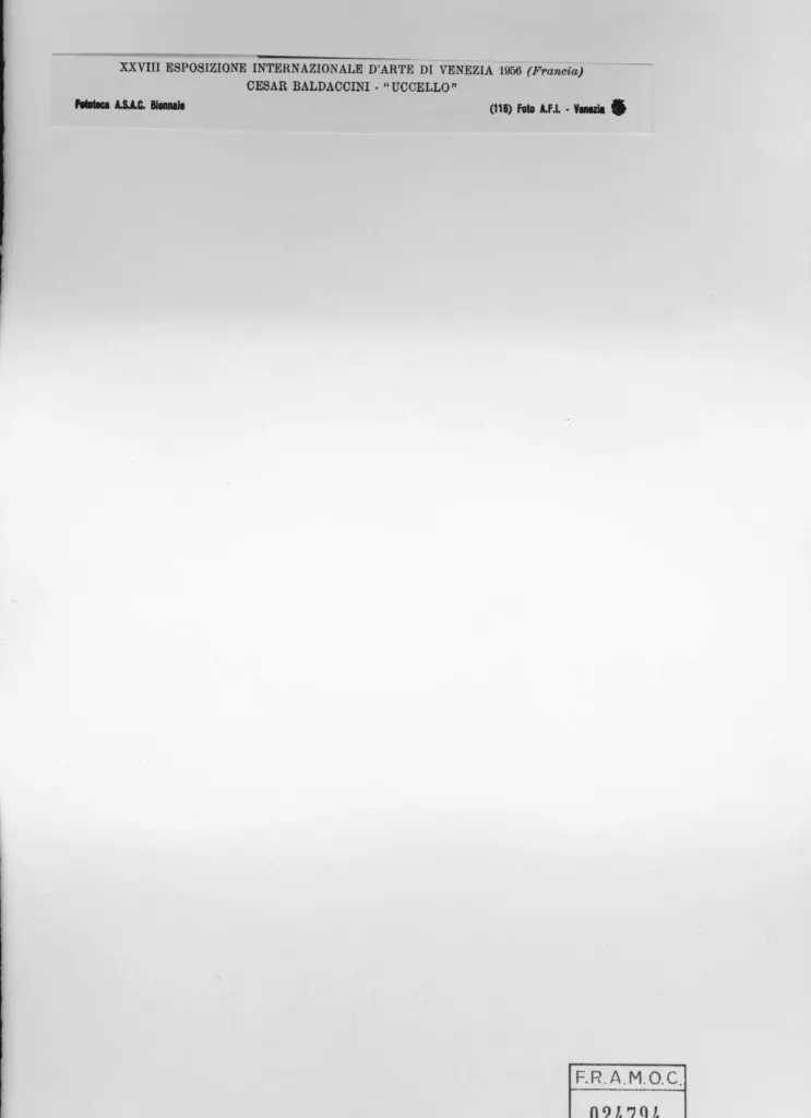 A.F.I. Agenzia Fotografica Industriale , Baldaccini, Cesar - sec. XX - Uccello , retro