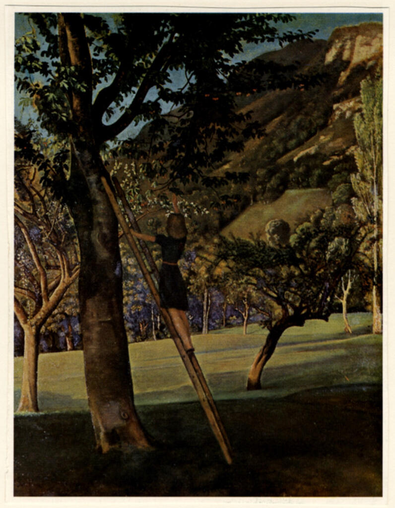 Anonimo , Klossowski de la Rola, Balthasar - sec. XX - Cherry Trees , fronte