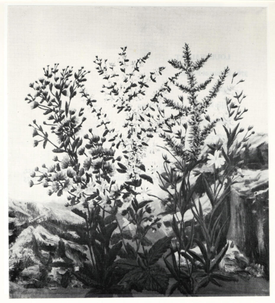 Bauchant, André - sec. XX , fronte
