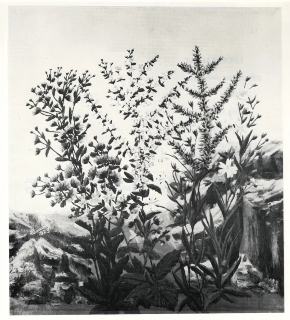 Bauchant, Andr&eacute; - sec. XX , fronte