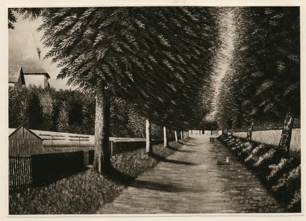 Anonimo , Bombois, Camille - sec. XX - Viale alberato a Chablis , fronte