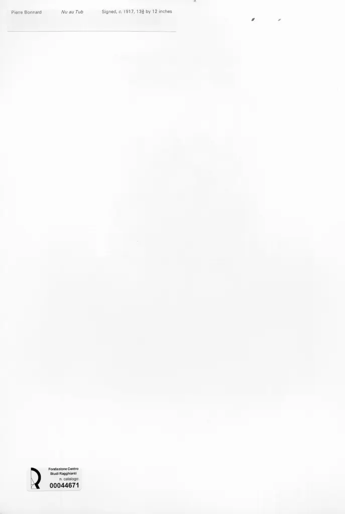 Anonimo , Bonnard, Pierre - sec. XX - Nu au tub , retro