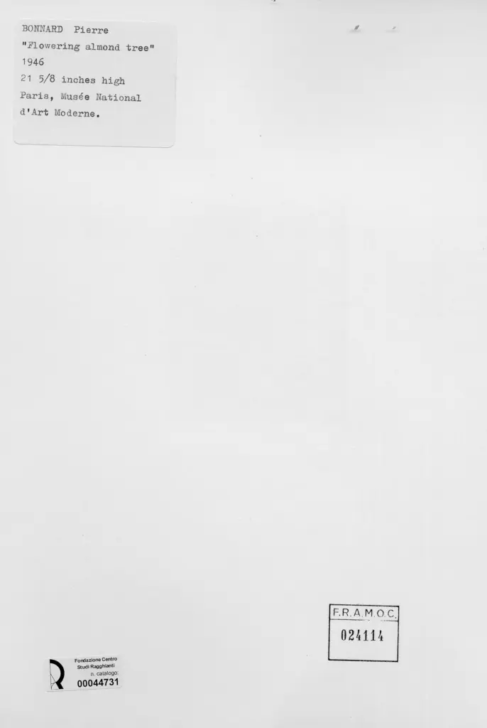 Anonimo , Bonnard, Pierre - sec. XX - Mandorlo in fiore , retro