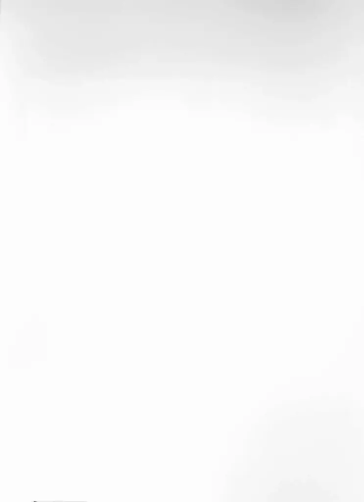 Anonimo , Bonnard, Pierre - sec. XIX/ XX - Boats in Harbour, St. Tropez , retro