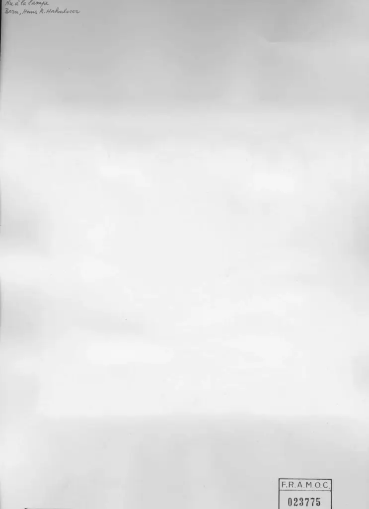 Anonimo , Bonnard, Pierre - sec. XIX/ XX - Nu &agrave; la lampe , retro