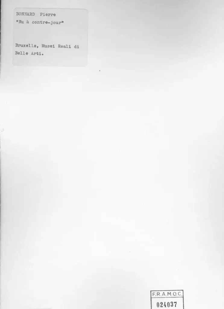 Anonimo , Bonnard, Pierre - sec. XIX/XX - Nu &agrave; contre jour , retro