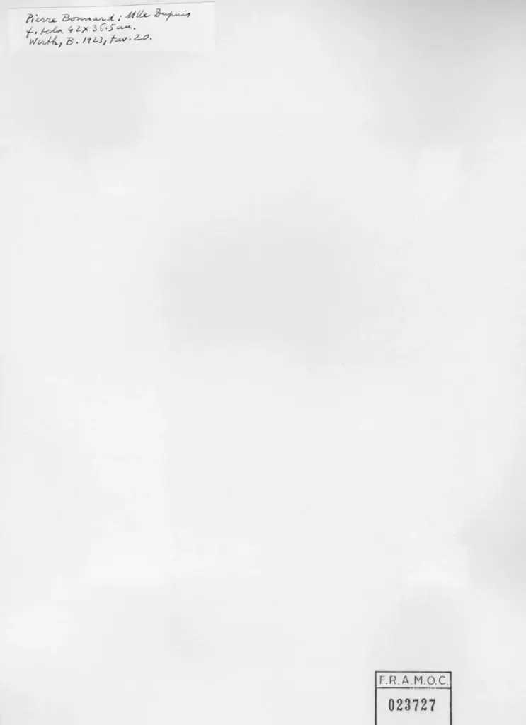 Anonimo , Bonnard, Pierre - sec. XIX/ XX - M.lle Dupuis , retro