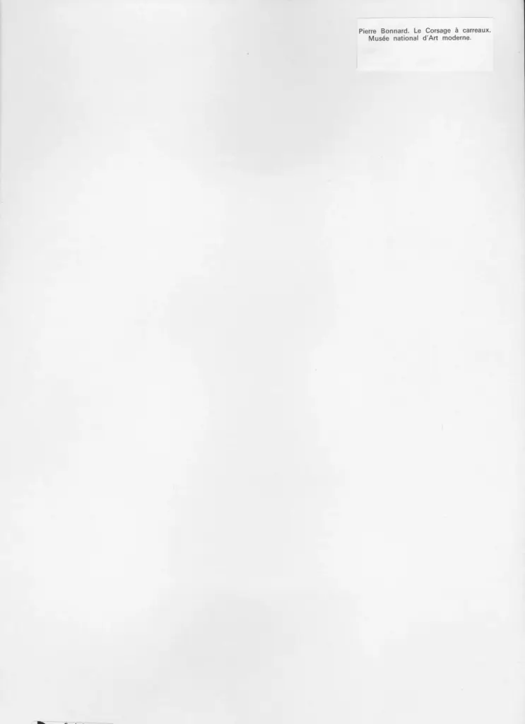 Anonimo , Bonnard, Pierre - sec. XX - Le corsage &agrave; carreaux - la corsage a quadretti , retro