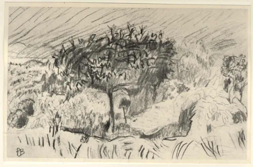 Bonnard, Pierre , fronte