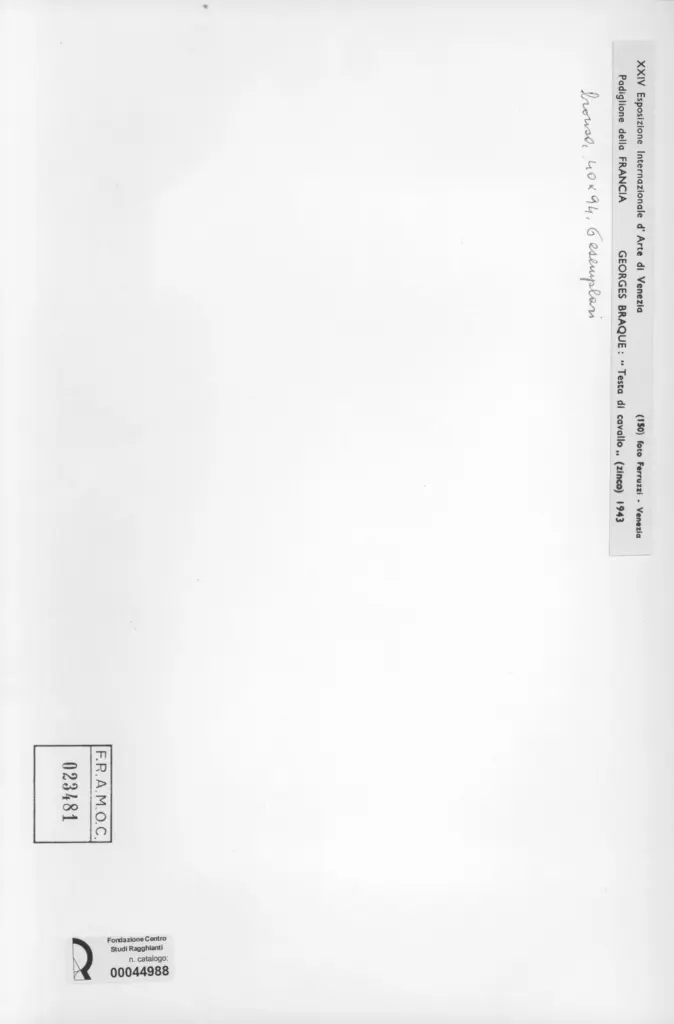 Fotografia Ferruzzi , Braque, George - sec. XX - Testa di cavallo , retro