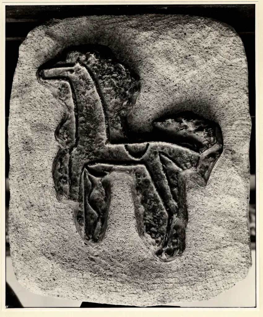 Fotografia Ferruzzi , Braque, George - sec. XX - Purosangue , fronte