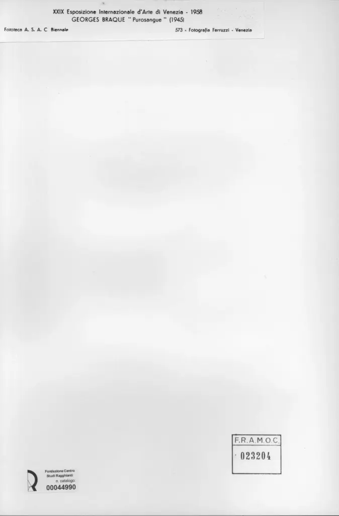 Fotografia Ferruzzi , Braque, George - sec. XX - Purosangue , retro