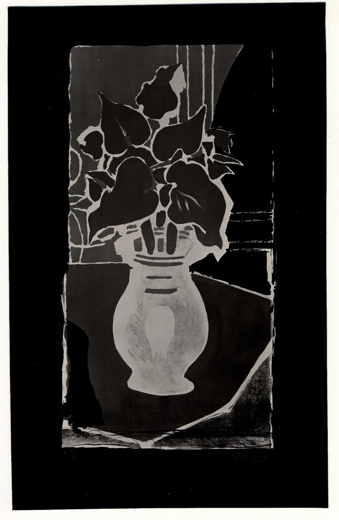 Anonimo , Braque, Georges - sec. XX - Foglie colore luce , fronte