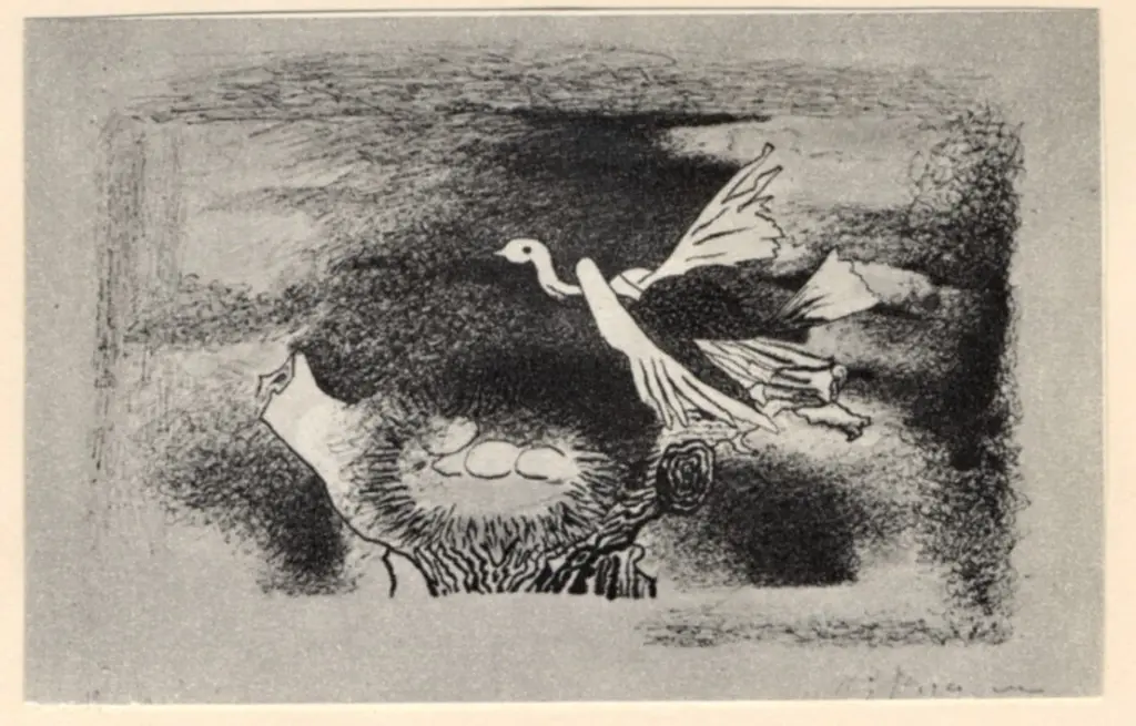 Anonimo, Anonimo , fronte