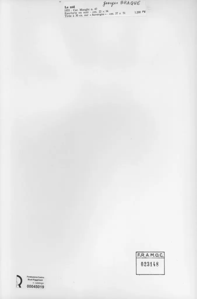 Anonimo, Anonimo , retro