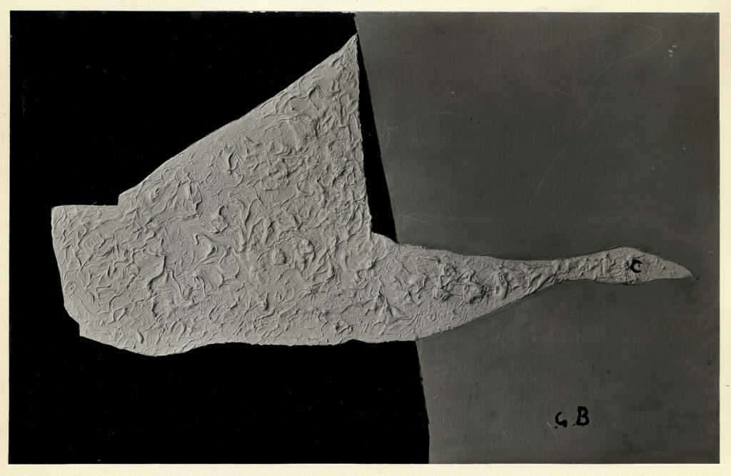 Fotografia Ferruzzi , Braque, George - sec. XX - L'anitra , fronte