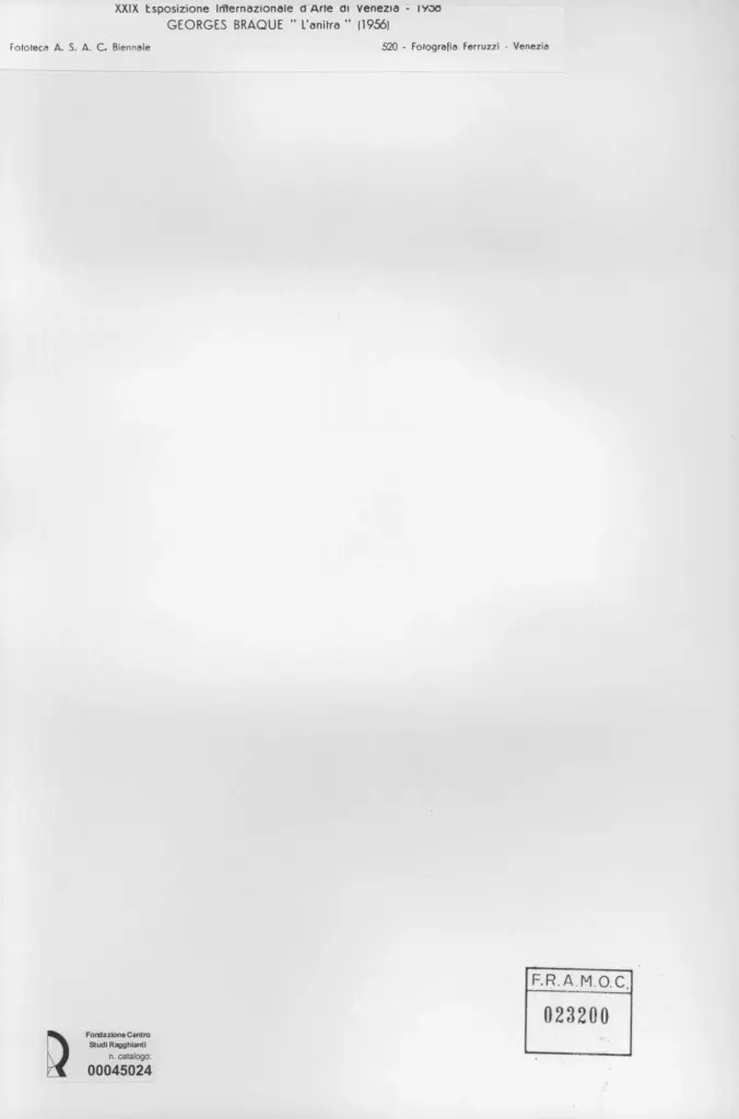 Fotografia Ferruzzi , Braque, George - sec. XX - L'anitra , retro