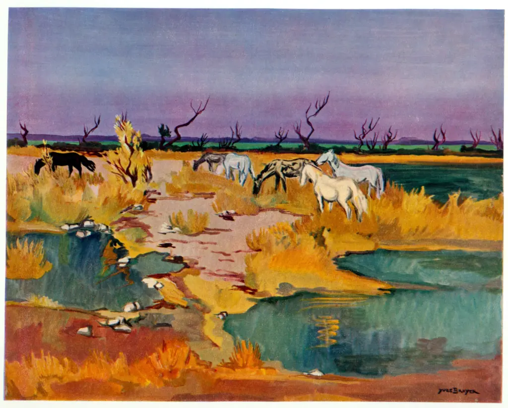 Anonimo ; Anonimo , s.v.