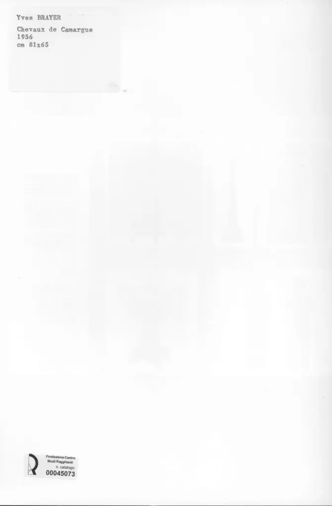 Anonimo, Anonimo , retro