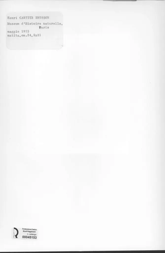 Anonimo , Cartier Bresson, Henri - sec. XX - Studio di animali , retro