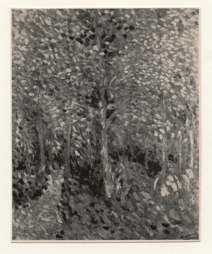 Anonimo, Anonimo , fronte