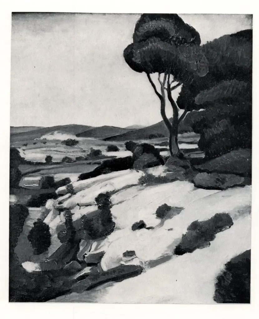 Anonimo, Anonimo , fronte