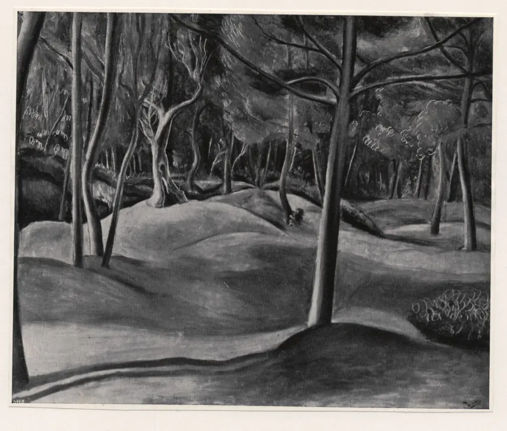 Anonimo, Anonimo , fronte