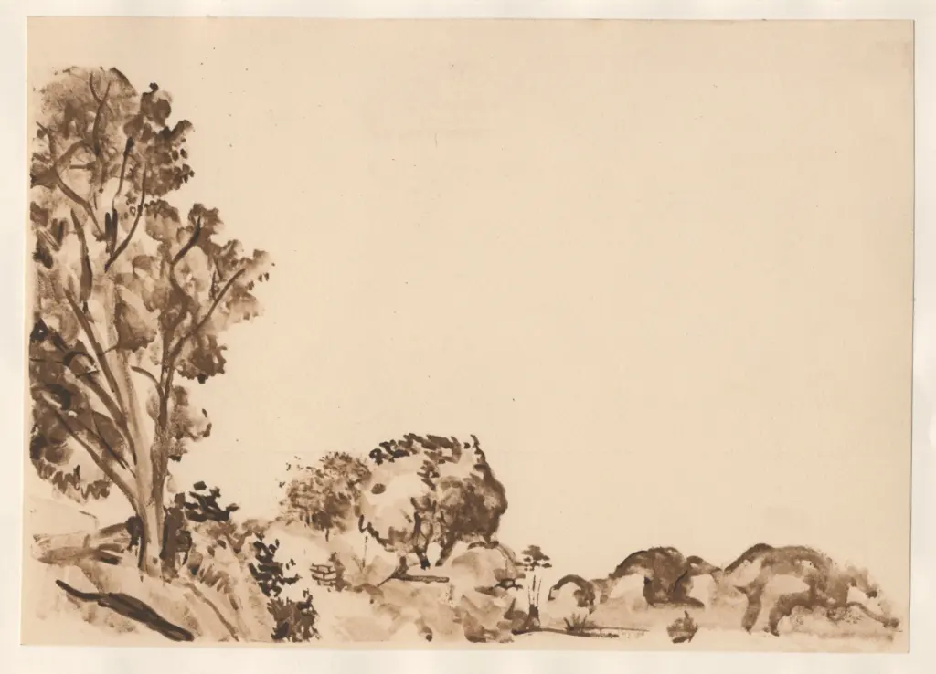 Anonimo, Anonimo , fronte