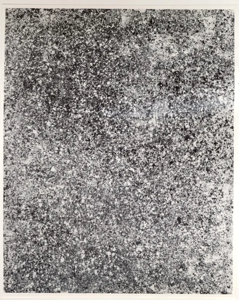 Anonimo , Dubuffet, Jean - sec. XX - Texturologie XXII (duveteuse) , fronte