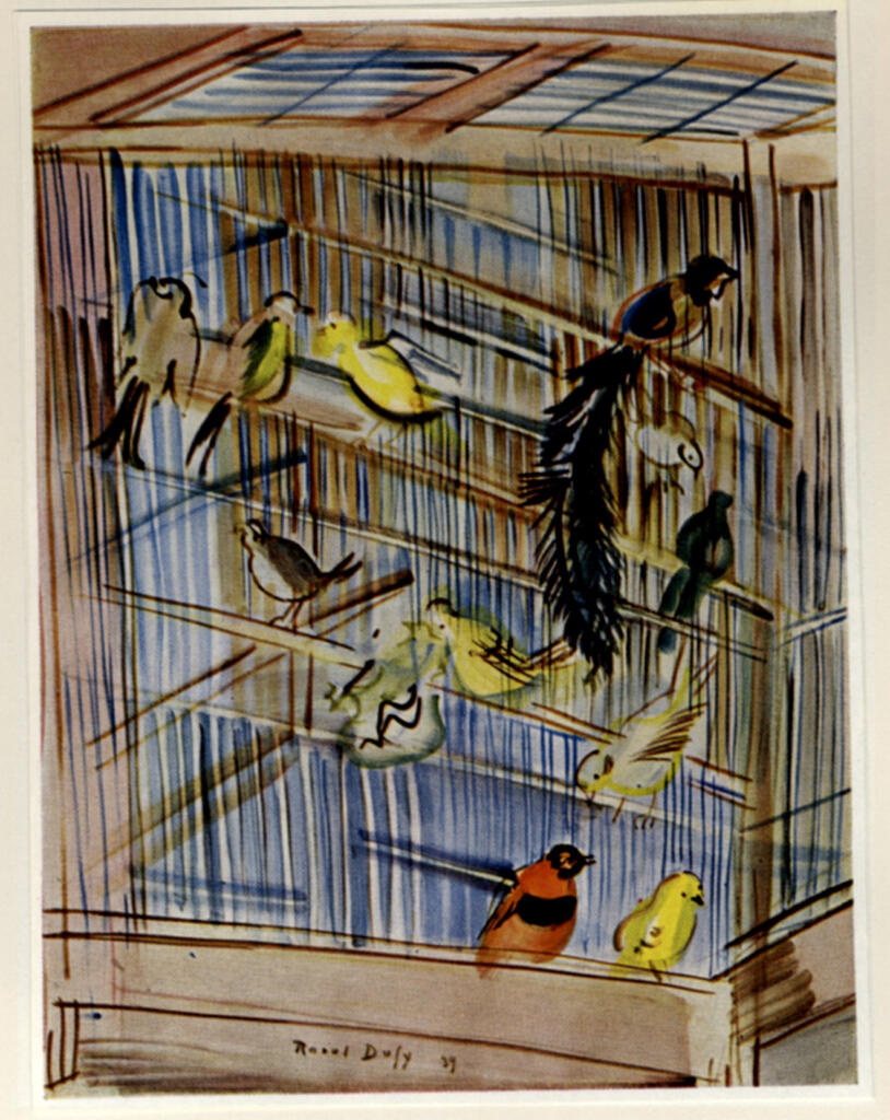 Dufy, Raoul - sec. XX - Les oiseaux dans la cage , fronte