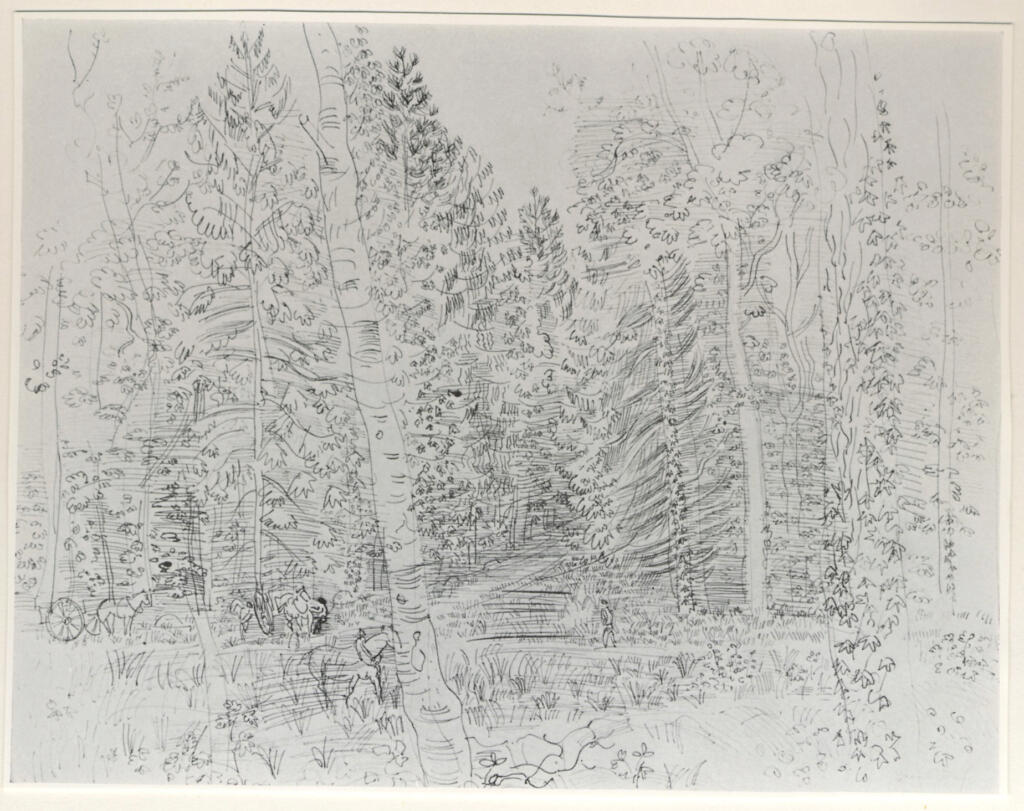 Anonimo , Dufy, Raoul - sec. XX - La foresta , fronte