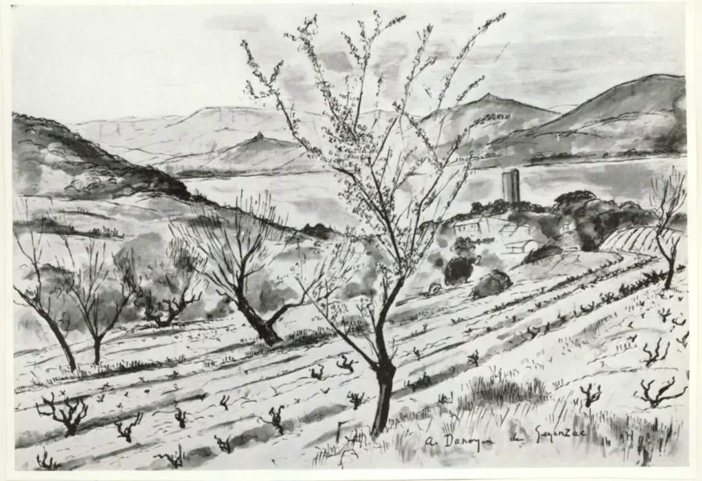 Anonimo, Anonimo , fronte