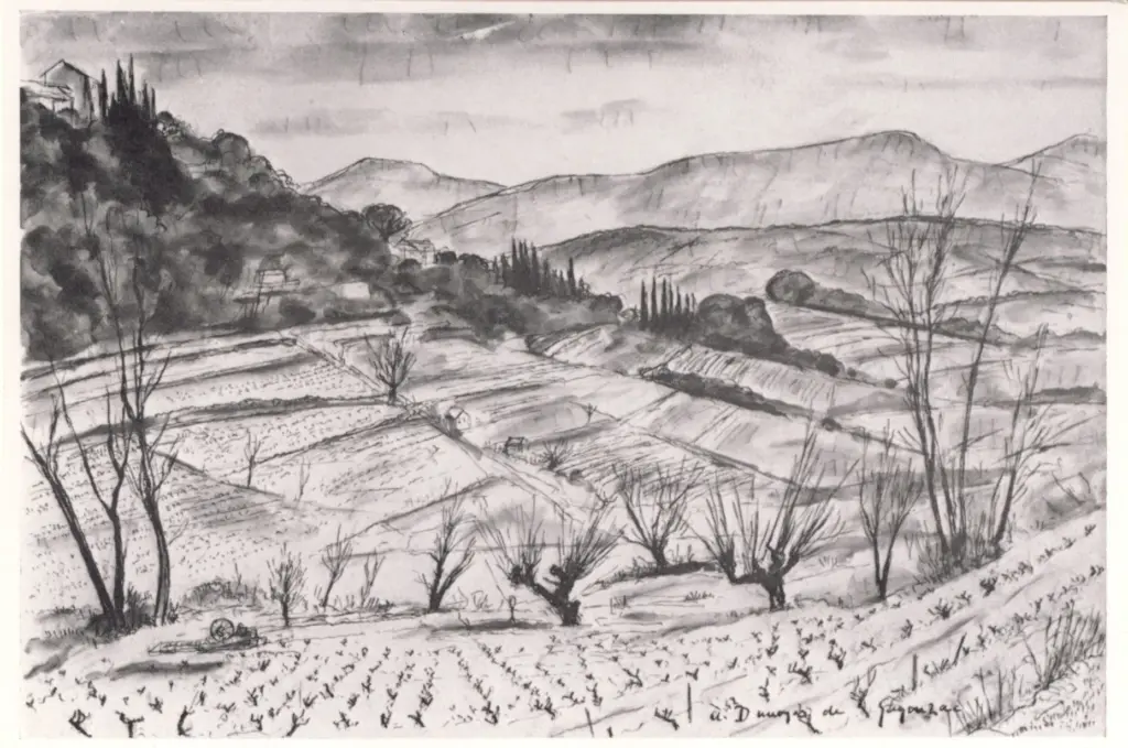 Anonimo , Dunoyer de Segonzac, Andr&eacute; - sec. XX - Les Vignes et les Muriers