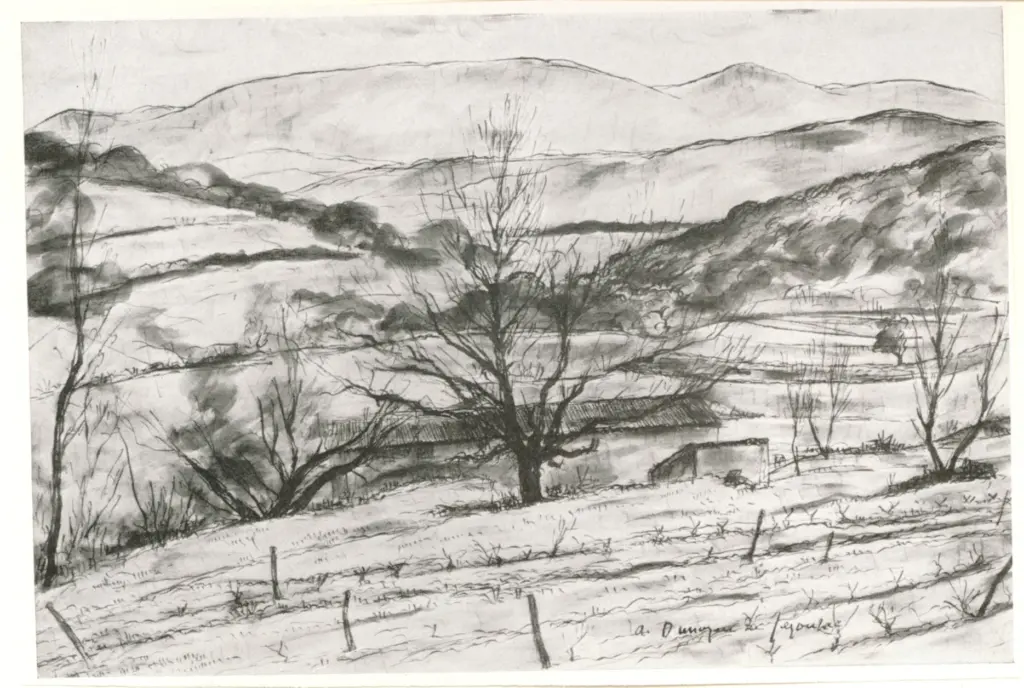 Anonimo, Anonimo , fronte