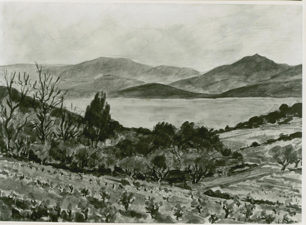 A.F.I. Agenzia Fotografica Industriale , Dunoyer de Segonzac, André - sec. XIX - Vigne e oliveti sulle rive del mare , fronte
