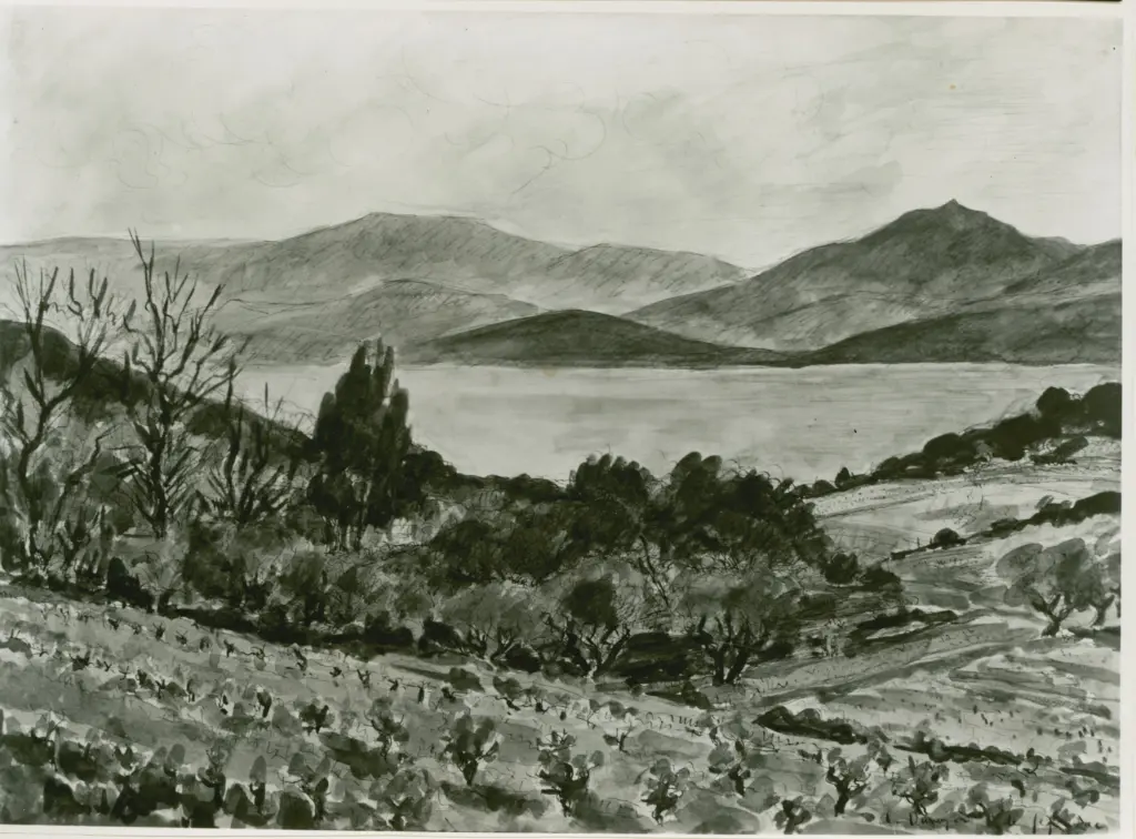 A.F.I. Agenzia Fotografica Industriale , Dunoyer de Segonzac, Andr&eacute; - sec. XIX - Vigne e oliveti sulle rive del mare