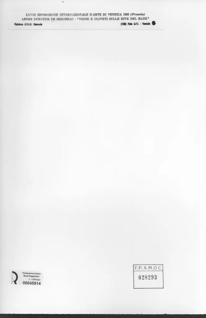 A.F.I. Agenzia Fotografica Industriale , Dunoyer de Segonzac, Andr&eacute; - sec. XIX - Vigne e oliveti sulle rive del mare , retro