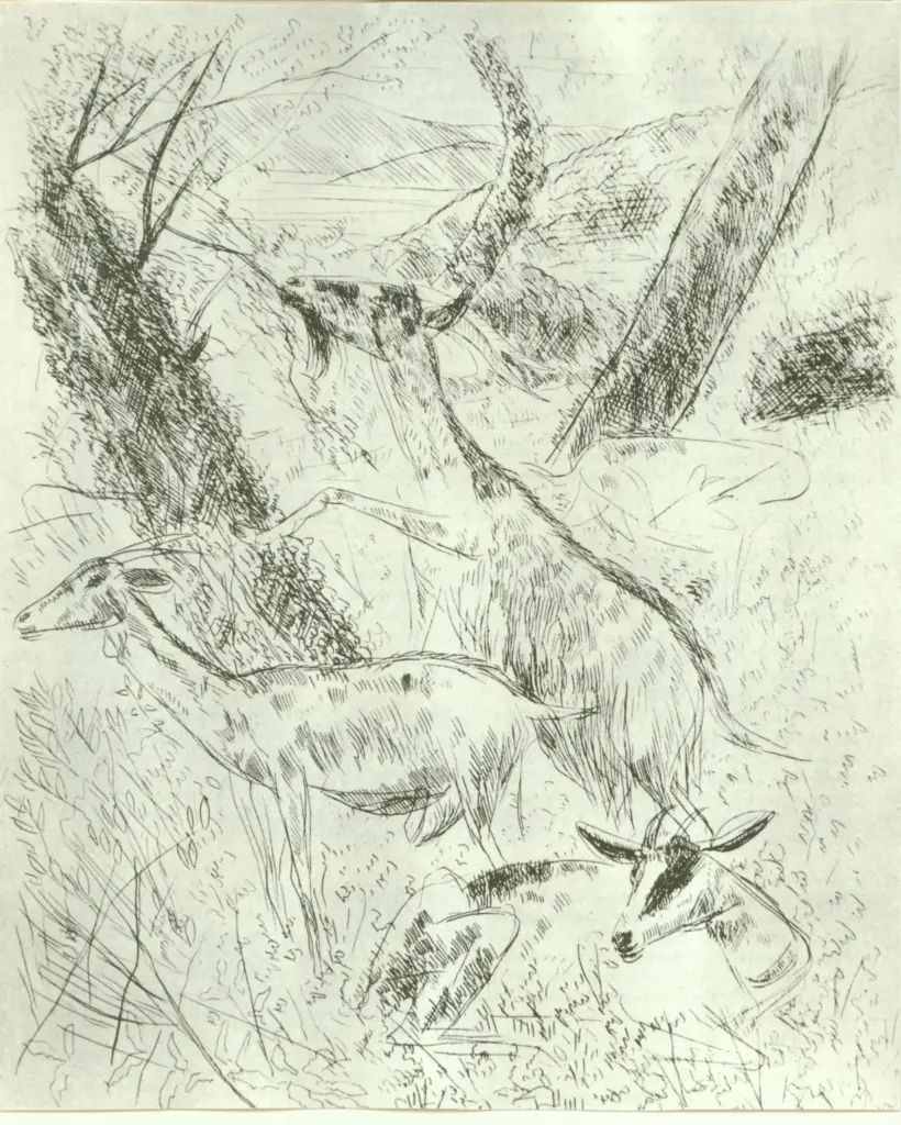 Anonimo, Anonimo , fronte