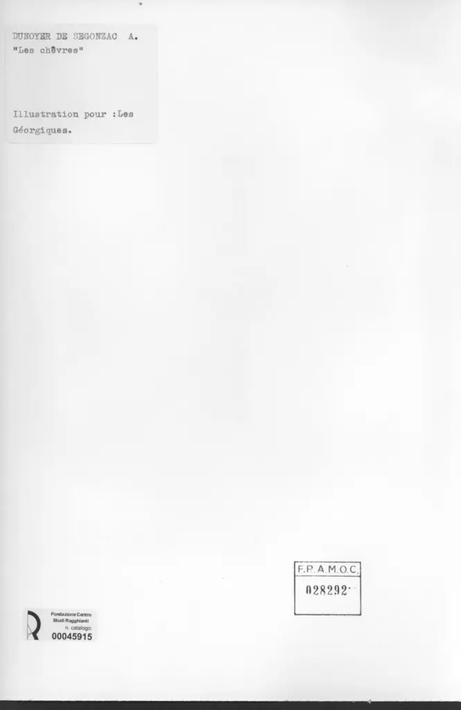 Anonimo, Anonimo , retro