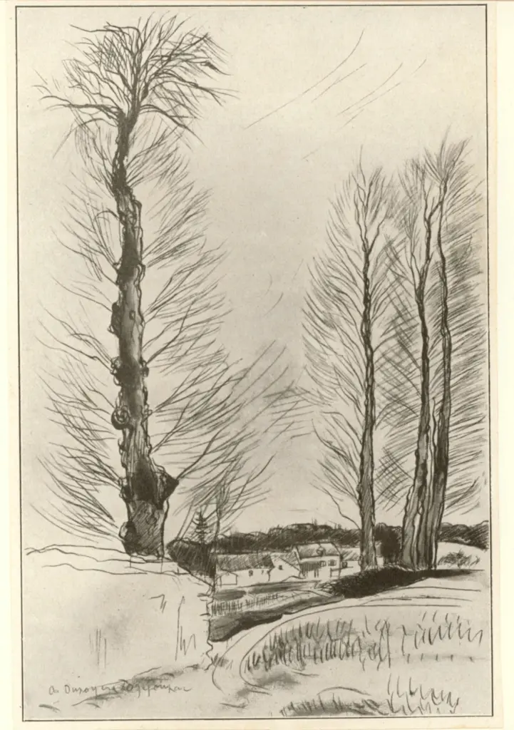 Anonimo, Anonimo , fronte