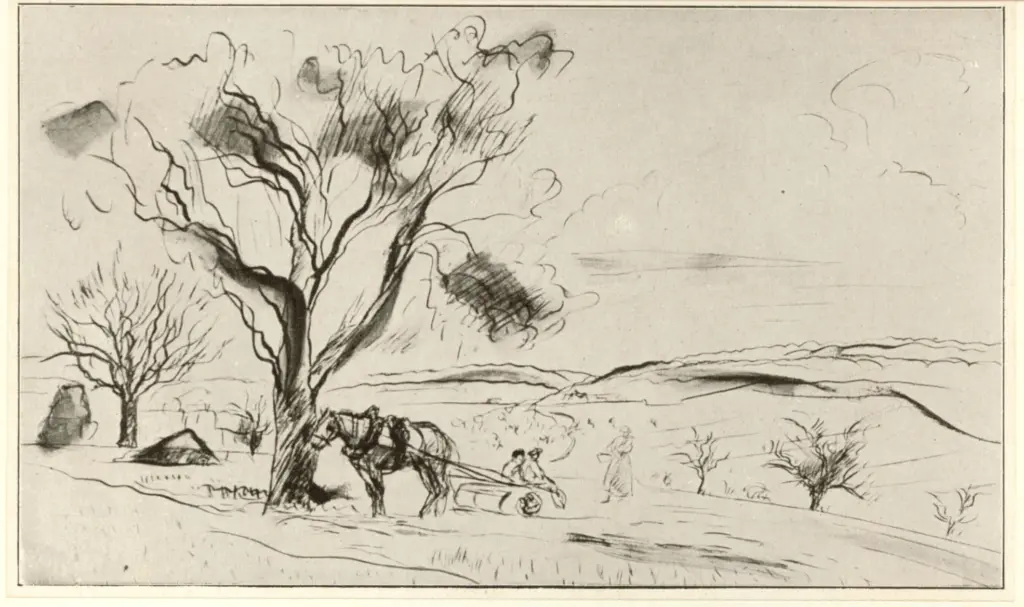 Anonimo, Anonimo , fronte