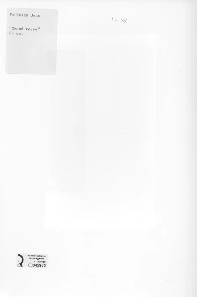 Anonimo, Anonimo , retro