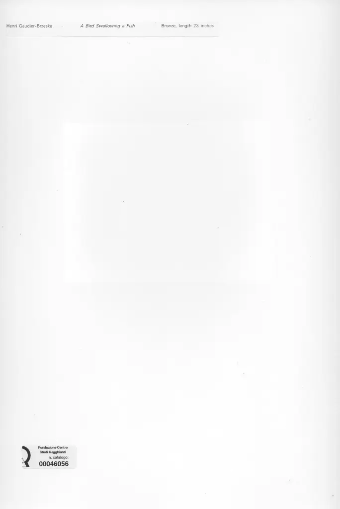 Anonimo, Anonimo , retro