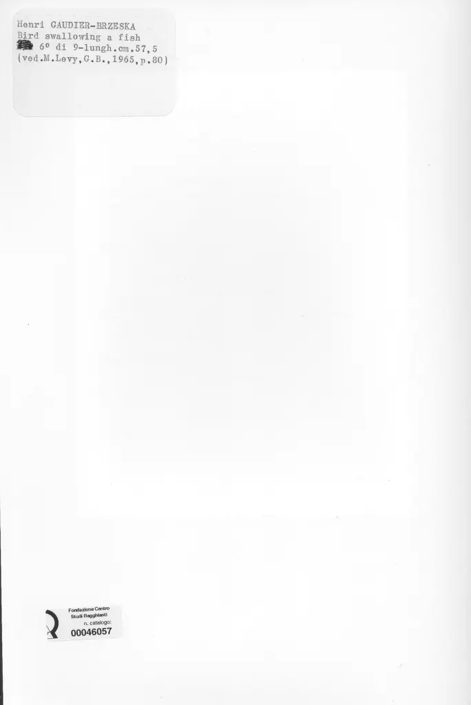 Anonimo, Anonimo , retro