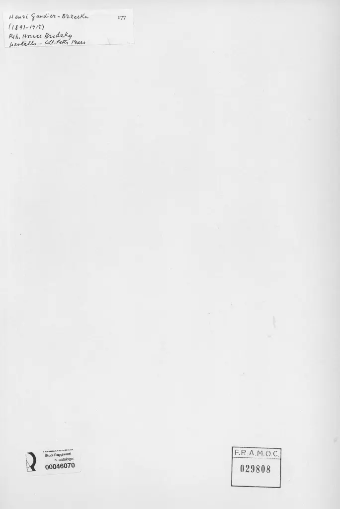 Anonimo, Anonimo , retro